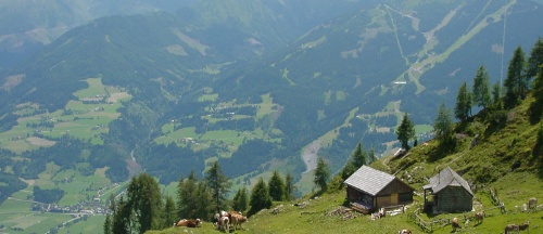 Oostenrijk is het land van de bioboeren